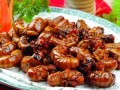 最新新康饭菜爆料图片,最新爆料图片曝光，美味与营养并存！”