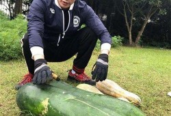 介休大瓜爆料视频,视频爆料背后的惊人真相
