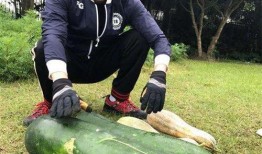 介休大瓜爆料视频,视频爆料背后的惊人真相