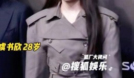 吴磊红毯爆料视频播放,精彩瞬间回顾