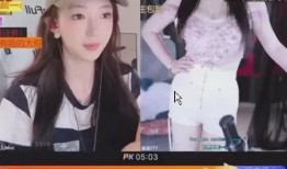 技能爆料主播是谁呀视频,揭秘热门视频背后的神秘人物